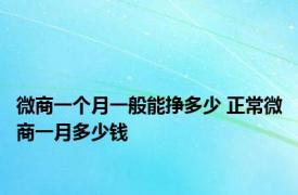 微商一个月一般能挣多少 正常微商一月多少钱 