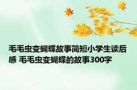 毛毛虫变蝴蝶故事简短小学生读后感 毛毛虫变蝴蝶的故事300字 