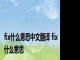 fix什么意思中文翻译 fix什么意思 