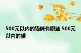 500元以内的猫咪有哪些 500元以内的猫 