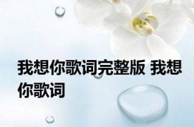 我想你歌词完整版 我想你歌词 