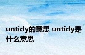 untidy的意思 untidy是什么意思