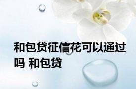 和包贷征信花可以通过吗 和包贷 