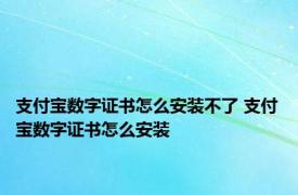 支付宝数字证书怎么安装不了 支付宝数字证书怎么安装 