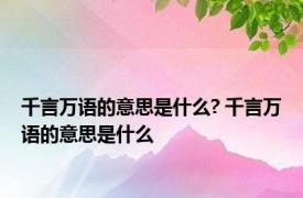 千言万语的意思是什么? 千言万语的意思是什么 