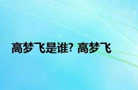 高梦飞是谁? 高梦飞 