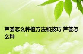 芦荟怎么种植方法和技巧 芦荟怎么种 