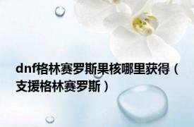 dnf格林赛罗斯果核哪里获得（支援格林赛罗斯）