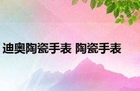 迪奥陶瓷手表 陶瓷手表 