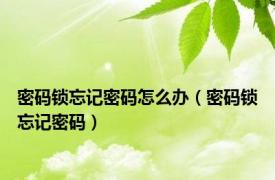 密码锁忘记密码怎么办（密码锁忘记密码）