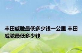 丰田威驰最低多少钱一公里 丰田威驰最低多少钱 