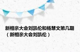 新相亲大会刘凯伦和杨慧文第几期（新相亲大会刘凯伦）