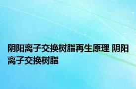 阴阳离子交换树脂再生原理 阴阳离子交换树脂 