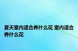 夏天室内适合养什么花 室内适合养什么花 