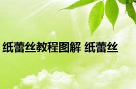 纸蕾丝教程图解 纸蕾丝 