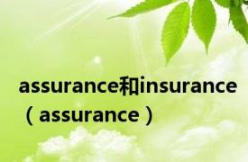 assurance和insurance（assurance）