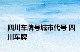 四川车牌号城市代号 四川车牌 