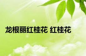 龙根丽红桂花 红桂花 