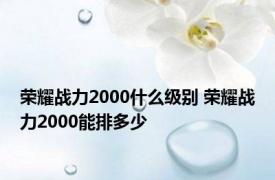 荣耀战力2000什么级别 荣耀战力2000能排多少 