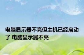 电脑显示器不亮但主机已经启动了 电脑显示器不亮 