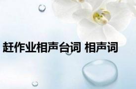 赶作业相声台词 相声词 