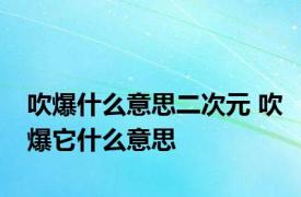 吹爆什么意思二次元 吹爆它什么意思