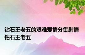 钻石王老五的艰难爱情分集剧情 钻石王老五 