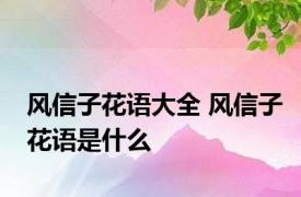 风信子花语大全 风信子花语是什么 