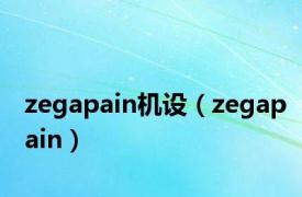 zegapain机设（zegapain）