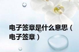 电子签章是什么意思（电子签章）