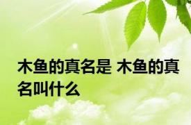 木鱼的真名是 木鱼的真名叫什么 