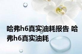 哈弗h6真实油耗报告 哈弗h6真实油耗 