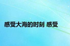 感受大海的时刻 感受 