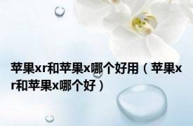 苹果xr和苹果x哪个好用（苹果xr和苹果x哪个好）