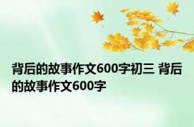 背后的故事作文600字初三 背后的故事作文600字 