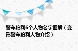 警车珀利6个人物名字图解（变形警车珀利人物介绍）