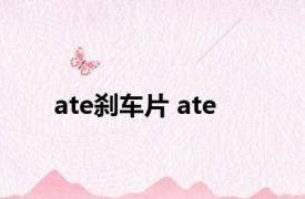 ate刹车片 ate 