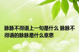 脉脉不得语上一句是什么 脉脉不得语的脉脉是什么意思