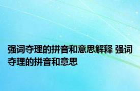 强词夺理的拼音和意思解释 强词夺理的拼音和意思