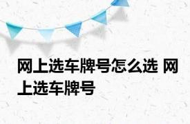 网上选车牌号怎么选 网上选车牌号 