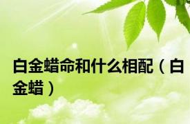 白金蜡命和什么相配（白金蜡）