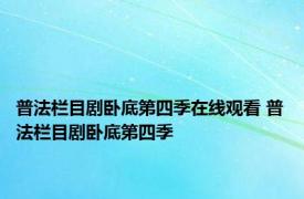 普法栏目剧卧底第四季在线观看 普法栏目剧卧底第四季 