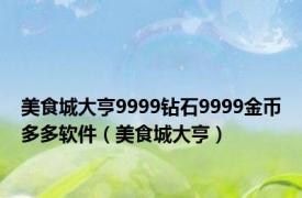 美食城大亨9999钻石9999金币多多软件（美食城大亨）