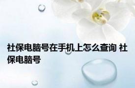 社保电脑号在手机上怎么查询 社保电脑号 