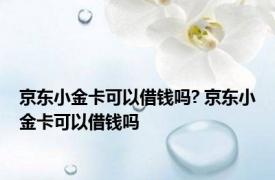 京东小金卡可以借钱吗? 京东小金卡可以借钱吗