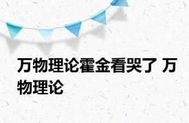 万物理论霍金看哭了 万物理论 