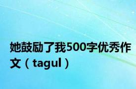 她鼓励了我500字优秀作文（tagul）