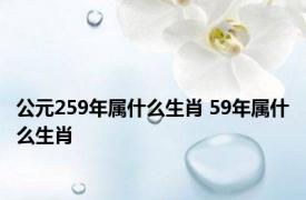 公元259年属什么生肖 59年属什么生肖 