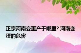 正宗河南变蛋产于哪里? 河南变蛋的危害 