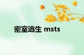 密室逃生 msts 